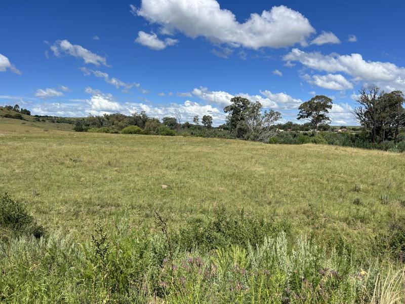 0 Bedroom Property for Sale in Lindley Free State